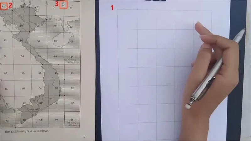 Phác Thảo Khung Chung và Hình Dáng Cơ Bản