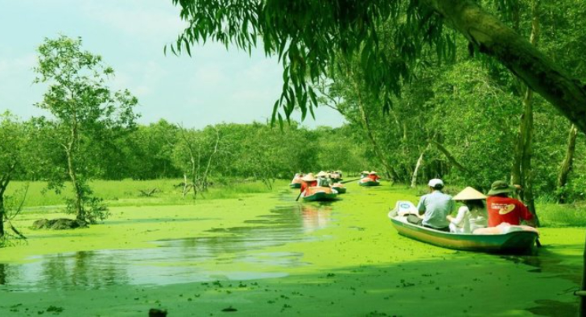 Cù lao Thới Sơn