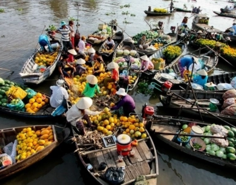 Những trải nghiệm không thể bỏ lỡ tại cồn Thới Sơn